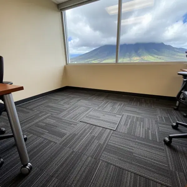 Replaced carpet tile blending in Wailuku conference room